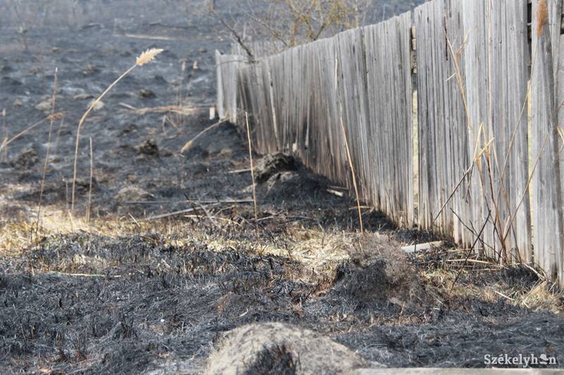 &bullet;  Fotó: Pál Gábor