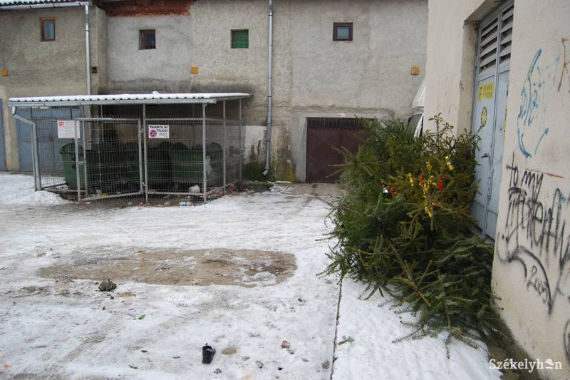 &bullet;  Fotó: Bodnár Arthur