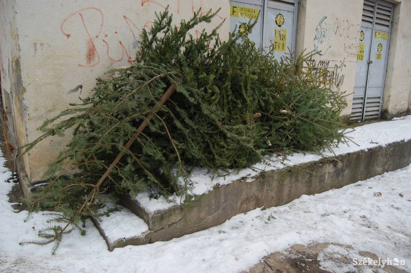 • Fotó: Bodnár Arthur