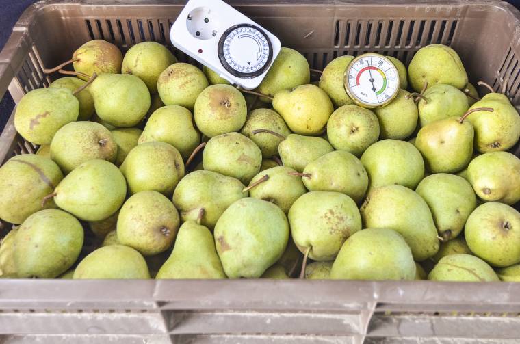 Olcsóbb élelmiszert fogyasztottunk augusztusban