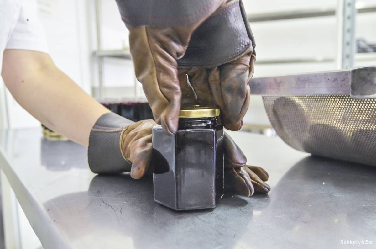 Érdemes pályázni a gyümölcsfeldolgozáshoz szükséges eszközökre. Képünk illusztráció • Fotó: Veres Nándor