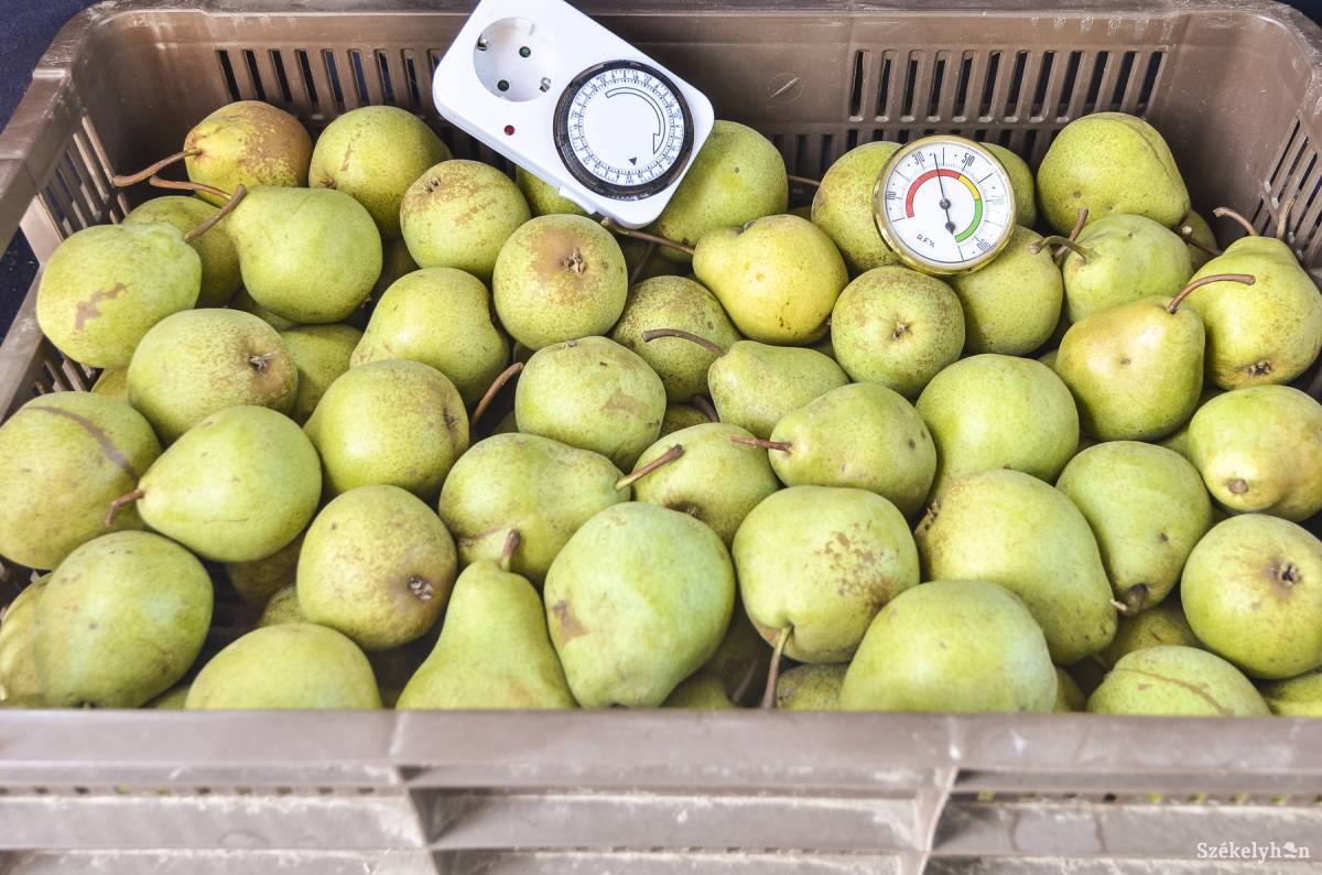 •  Fotó: Veres Nándor