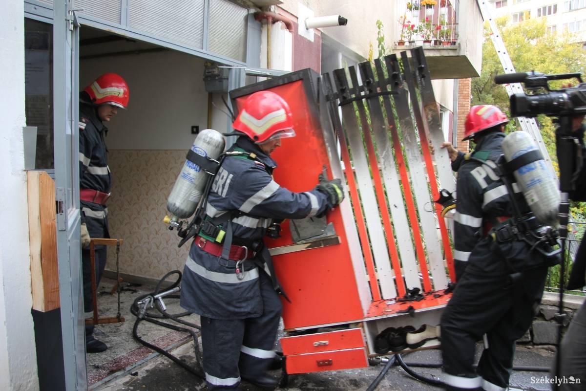 Illusztráció •  Fotó: Pál Gábor