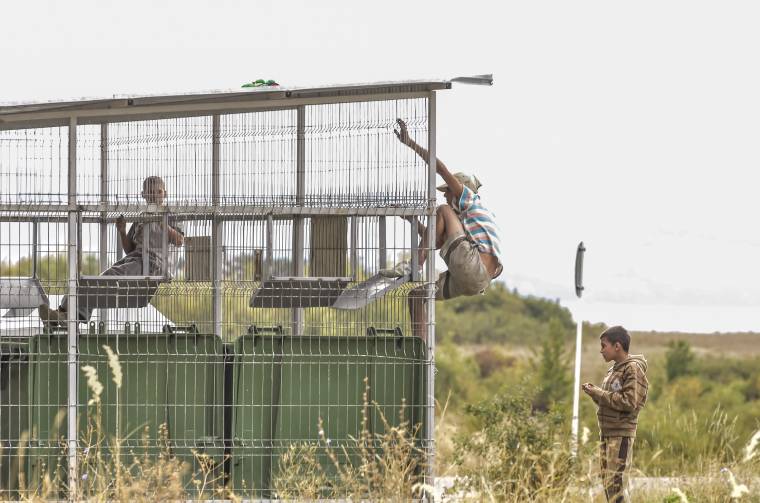 Agresszív guberálók