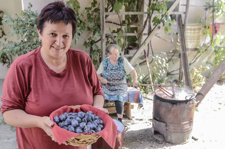 Nem lesz hiány szilvából a gyümölcsfesztiválon