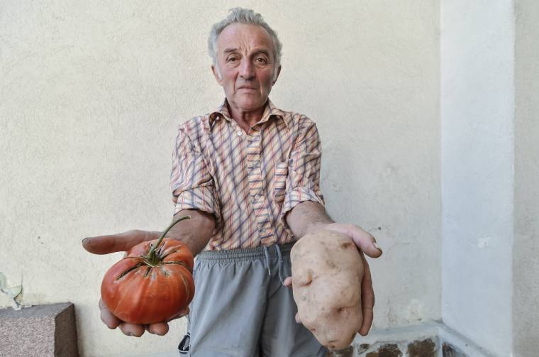 Rekordtermést hozott a szárazság