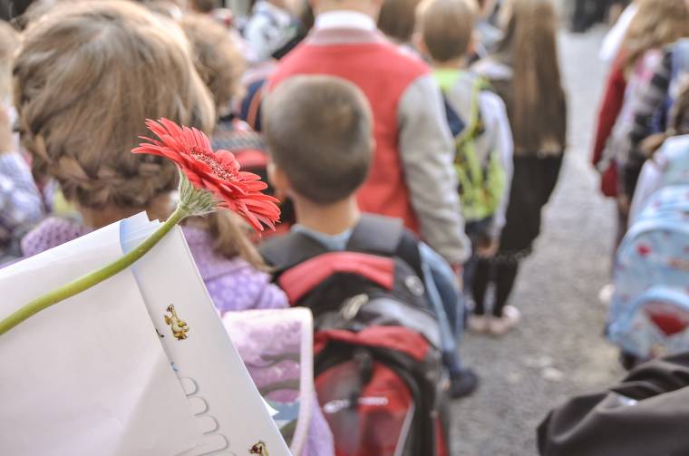 Ideiglenes lakcímmel „kicselezett” iskolai körzetek