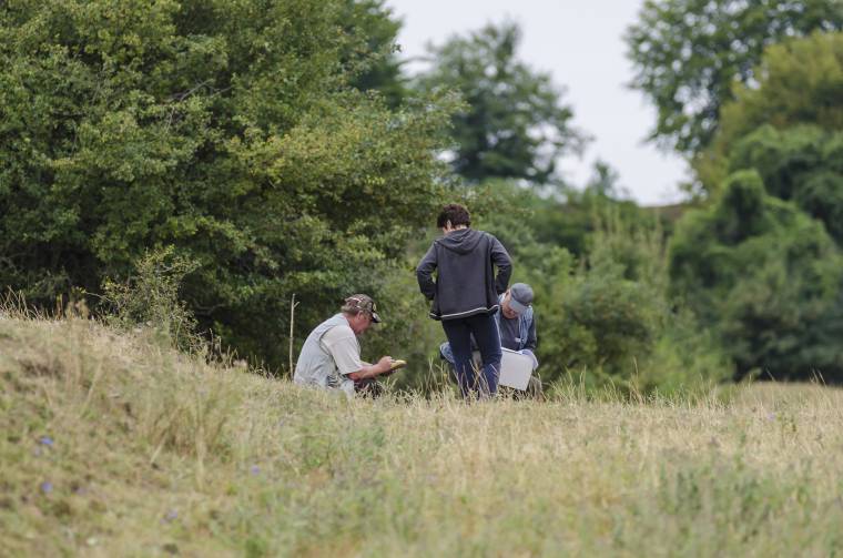 Természetes erdősödés: megvonhatják a támogatást