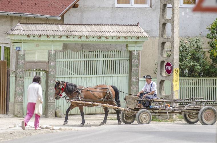 Védik kőbe vésett múltjukat