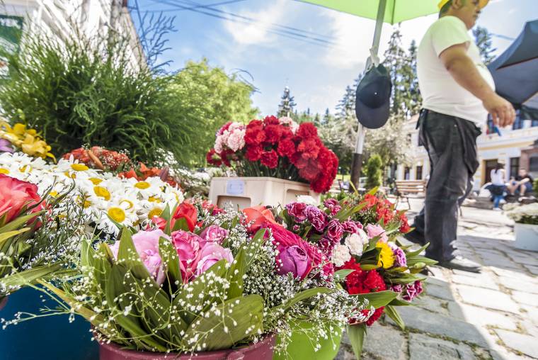 Bimbózó viszály a virágkereskedők közt