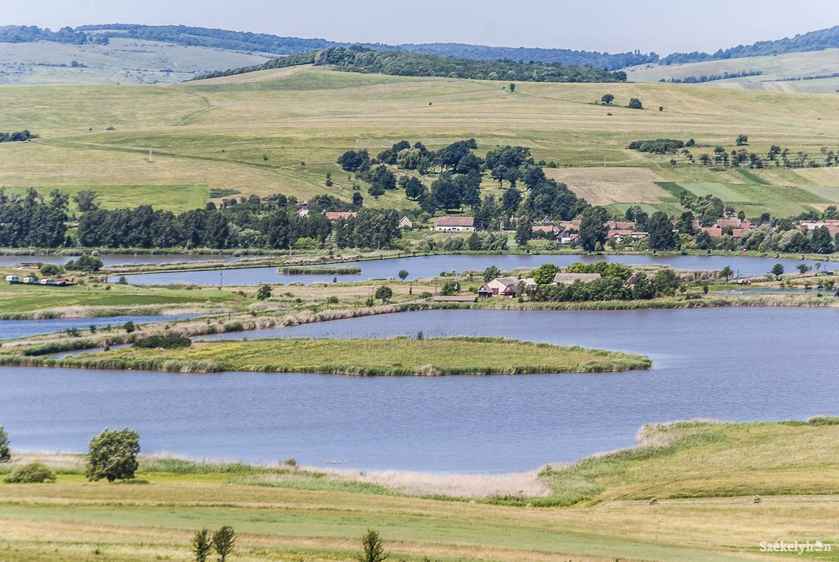 Pótolhatatlan nagymérteű halak pusztultak el az egyik tóban