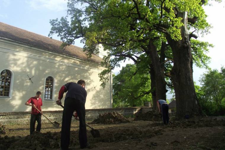 Alakulóban a vágási park