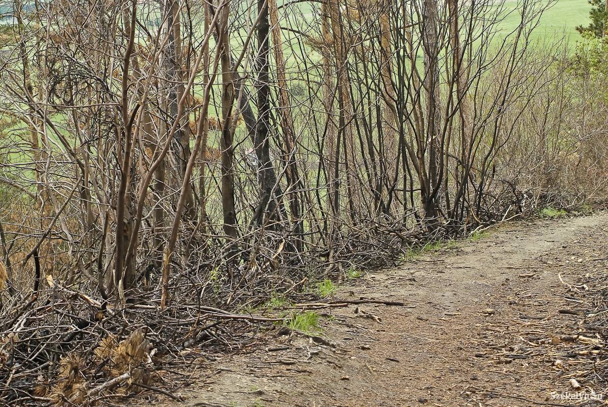 &bullet;  Fotó: Veres Nándor