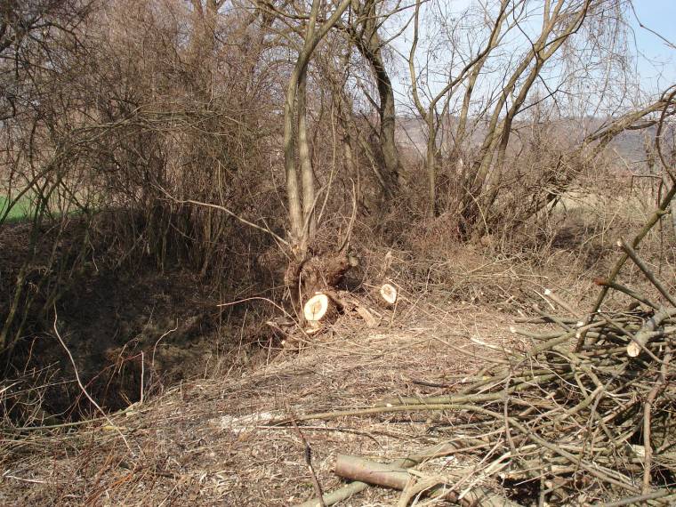 Falubeliek pusztítottak Újszékelyen