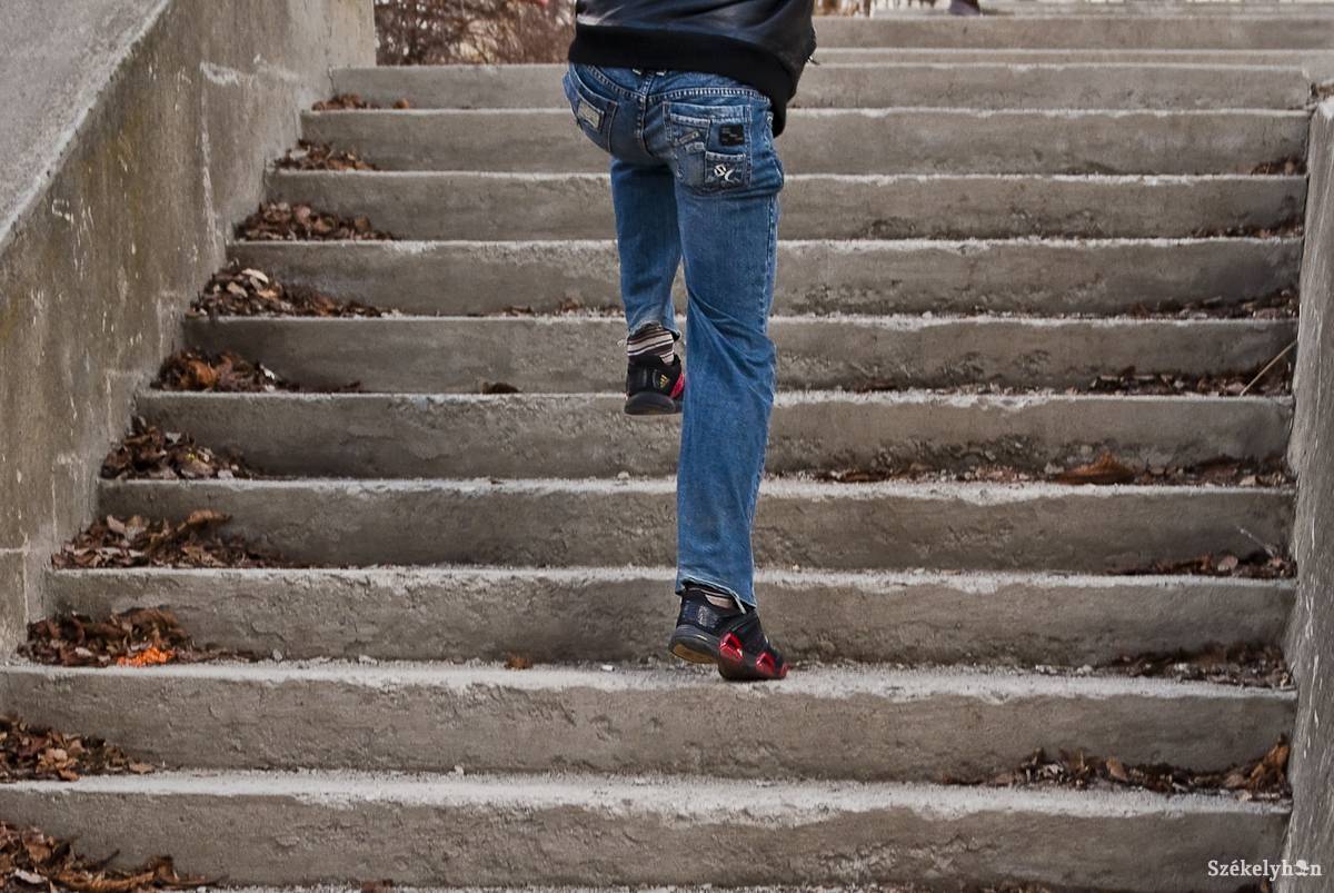 • Fotó: Veres Nándor