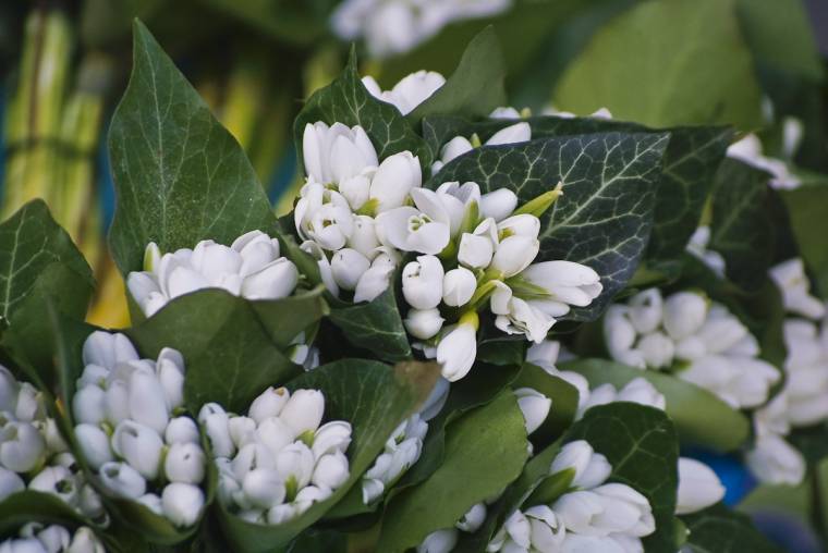 Megdőlt a melegrekord