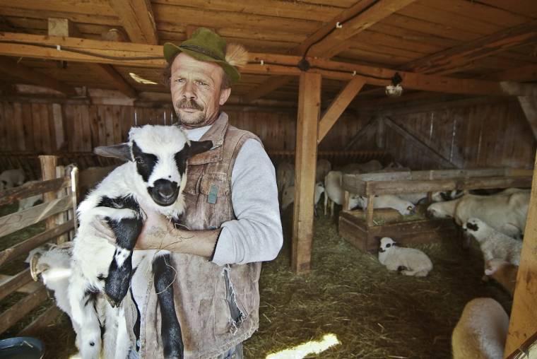 Kevés a bárány, drágább lesz a hús