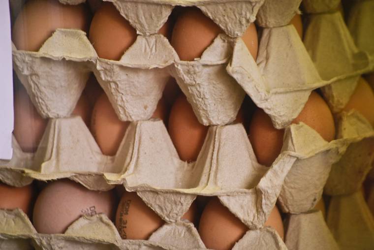 Tízezernél több, szalmonellával fertőzött tojást vontak vissza Háromszéken