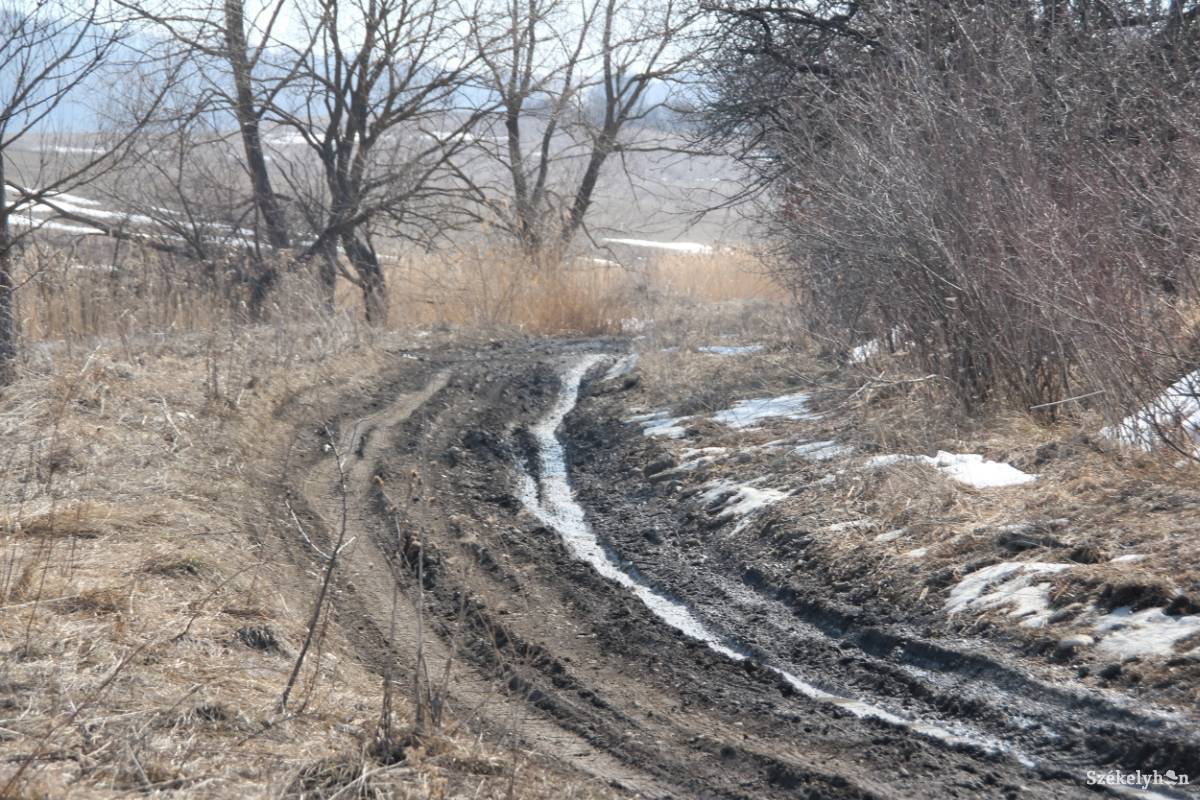 • Fotó: Pál Gábor