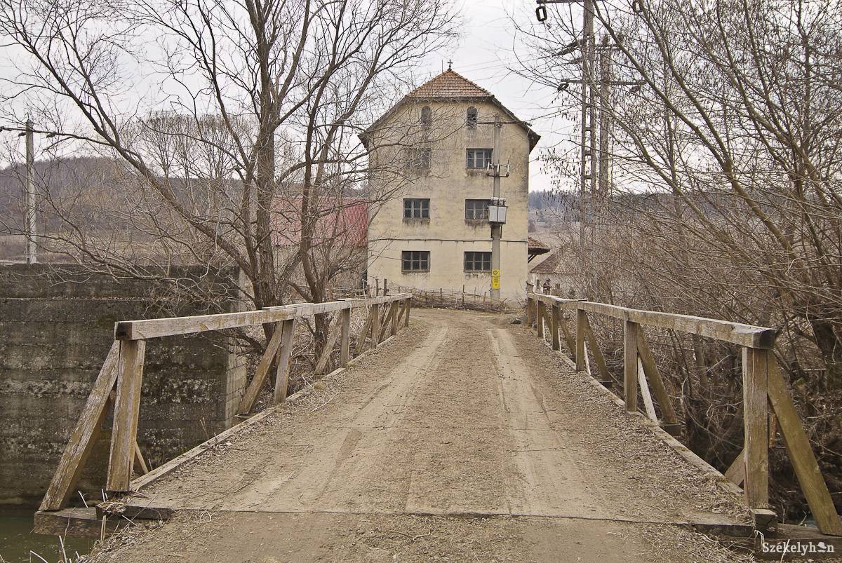 • Fotó: Veres Nándor