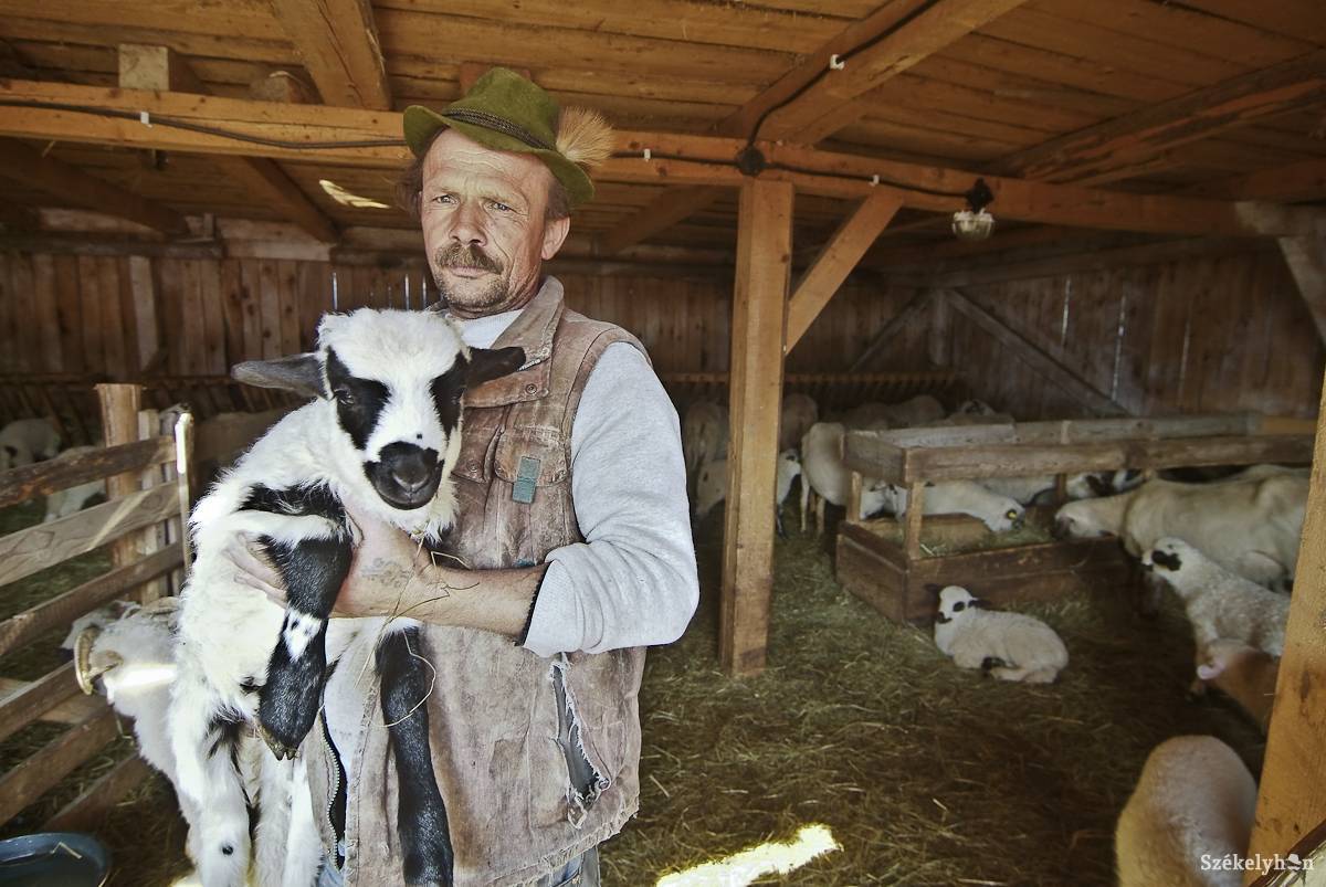 • Fotó: Veres Nándor