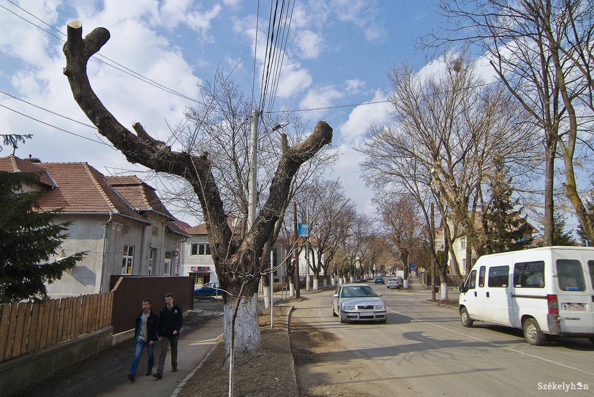 • Fotó: Veres Nándor