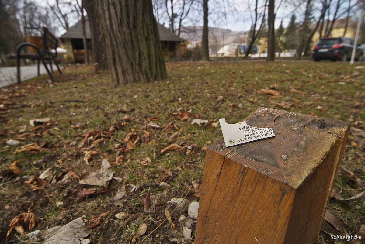 &bullet;  Fotó: Veres Nándor