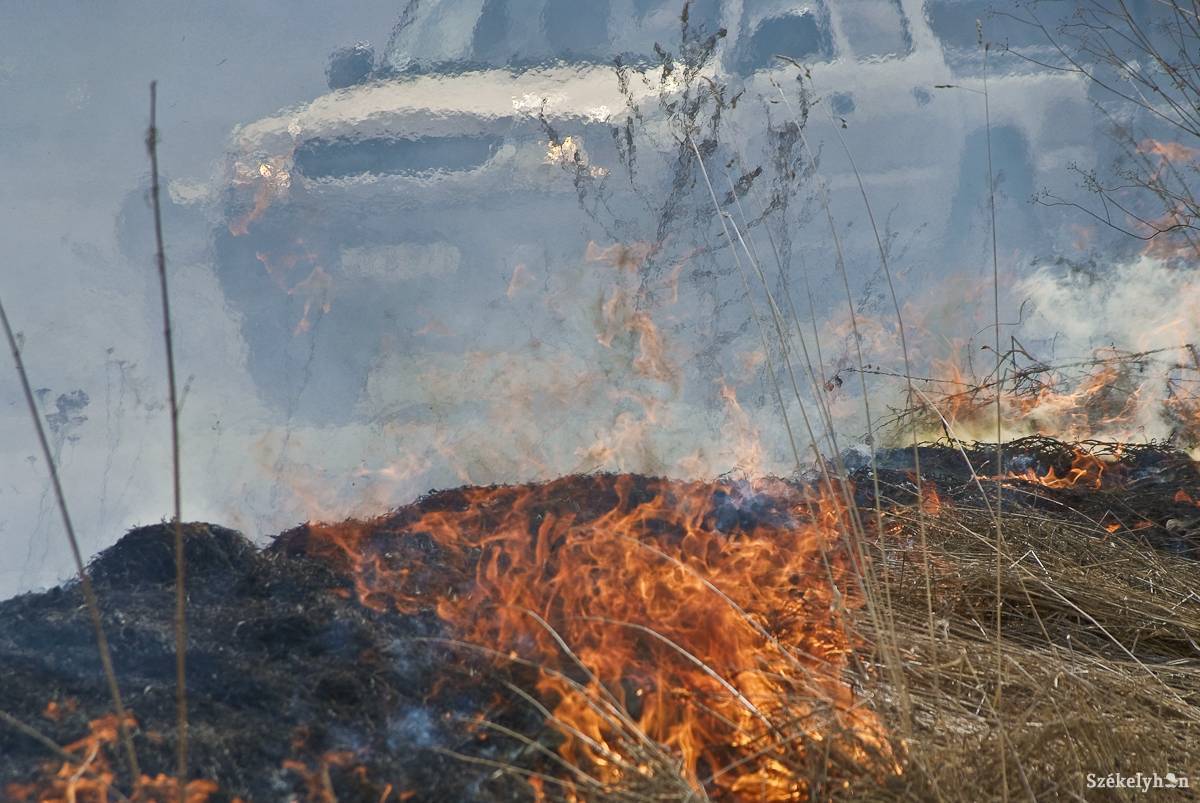 A levegőt szennyezik, illetve élőhelyeke tesznek tönkre, akik tarlótüzeket gyújtanak •  Fotó: Veres Nándor