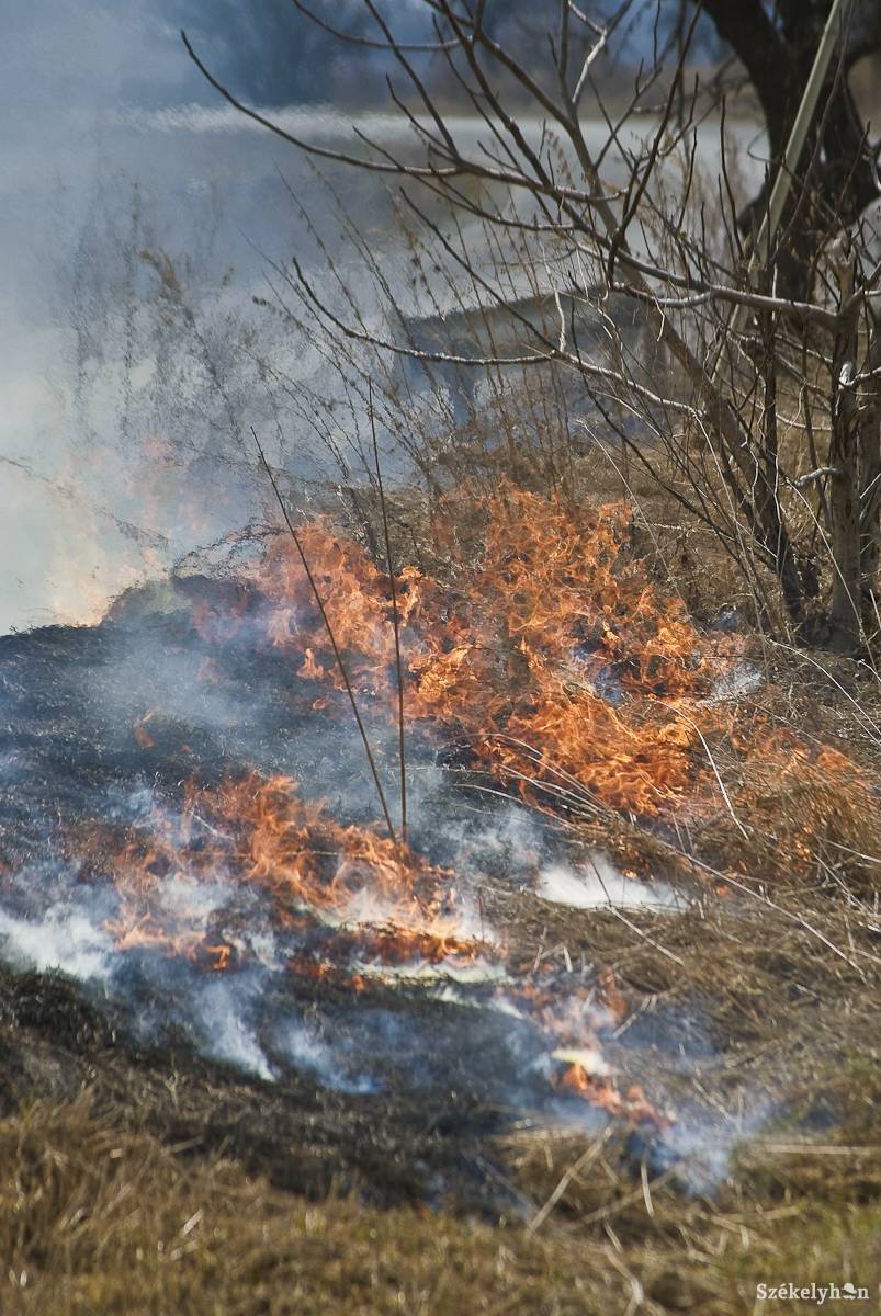 &bullet;  Fotó: Veres Nándor