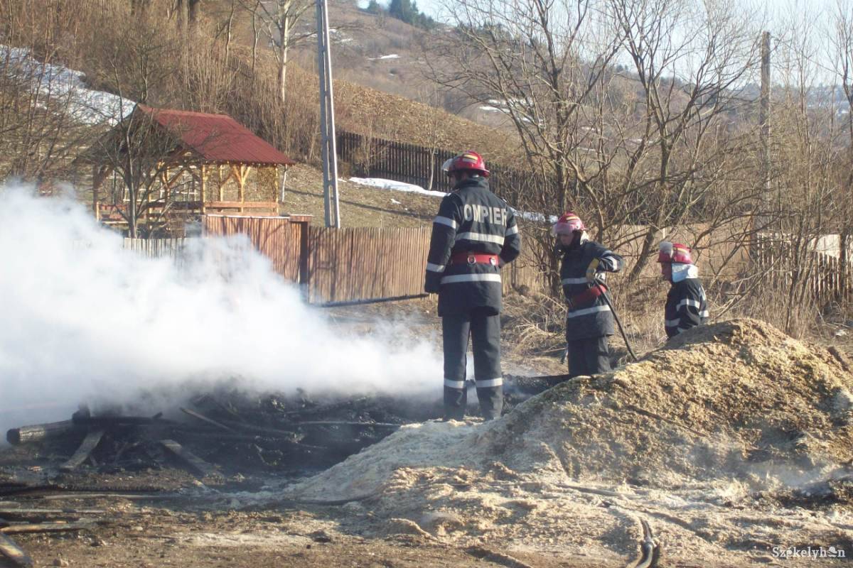 • Fotó: Pál Gábor