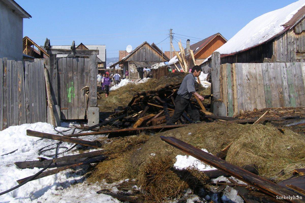 • Fotó: Pál Gábor