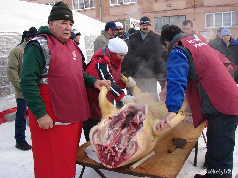 •  Fotó: Simon Eszter