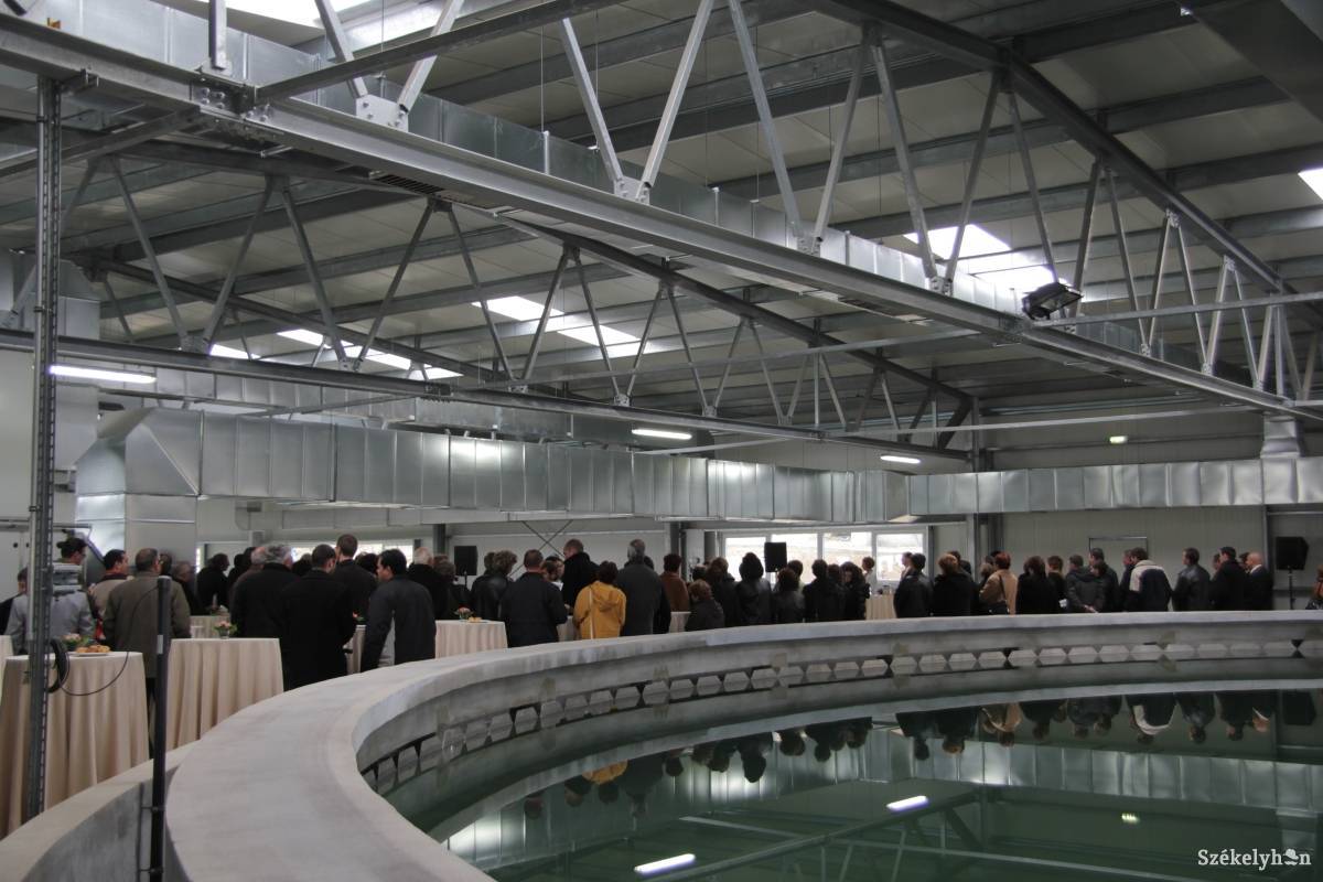 • Fotó: Pál Gábor