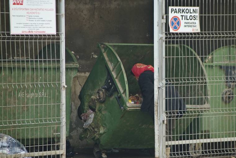 Guberálók sovány szeméten