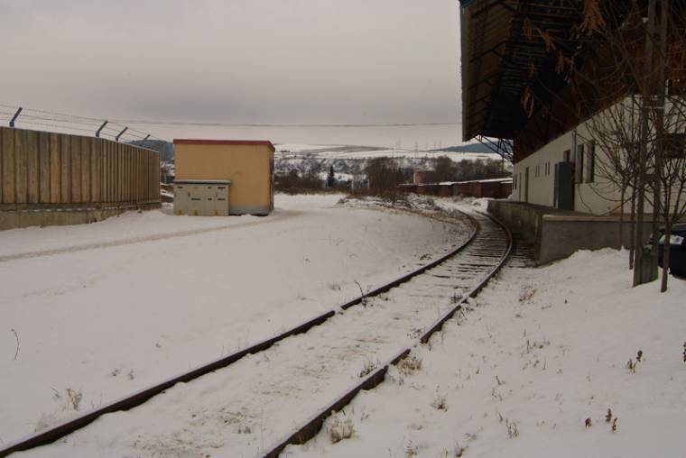 Holttestet találtak a Fások utcánál