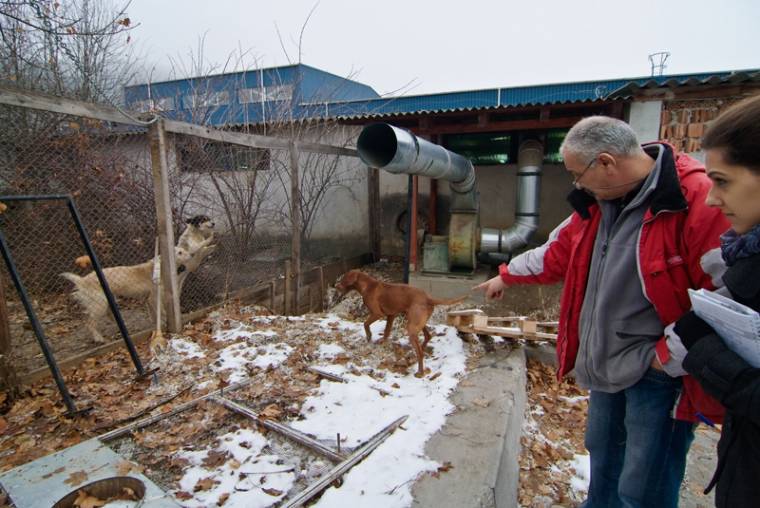 Kutyának se kellenek