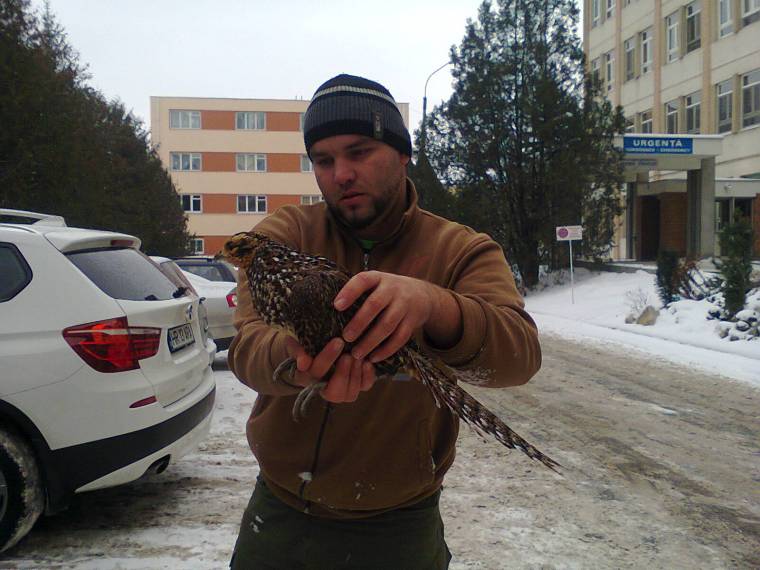 Ritka madarat fogtak be