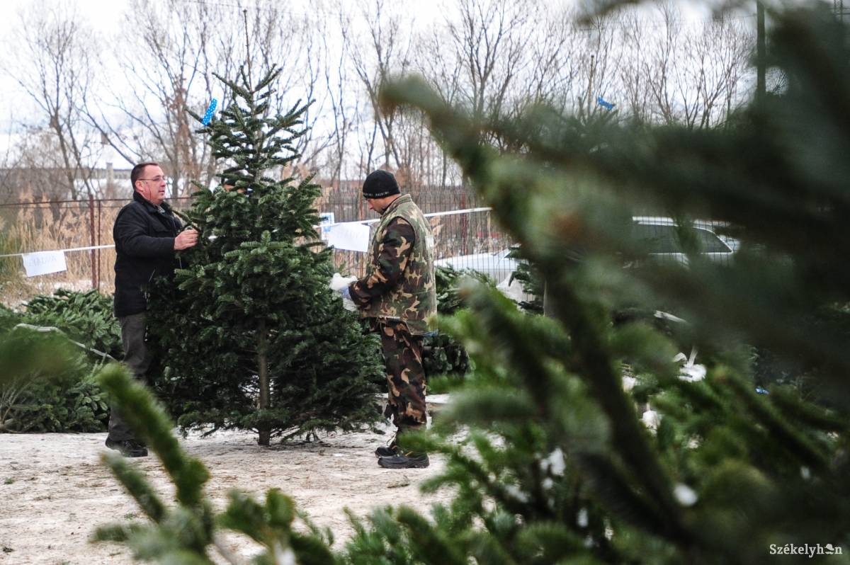 •  Fotó: Thomas Campean