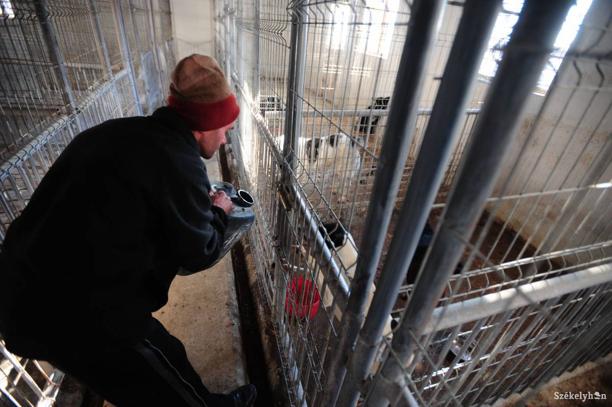 •  Fotó: Thomas Campean