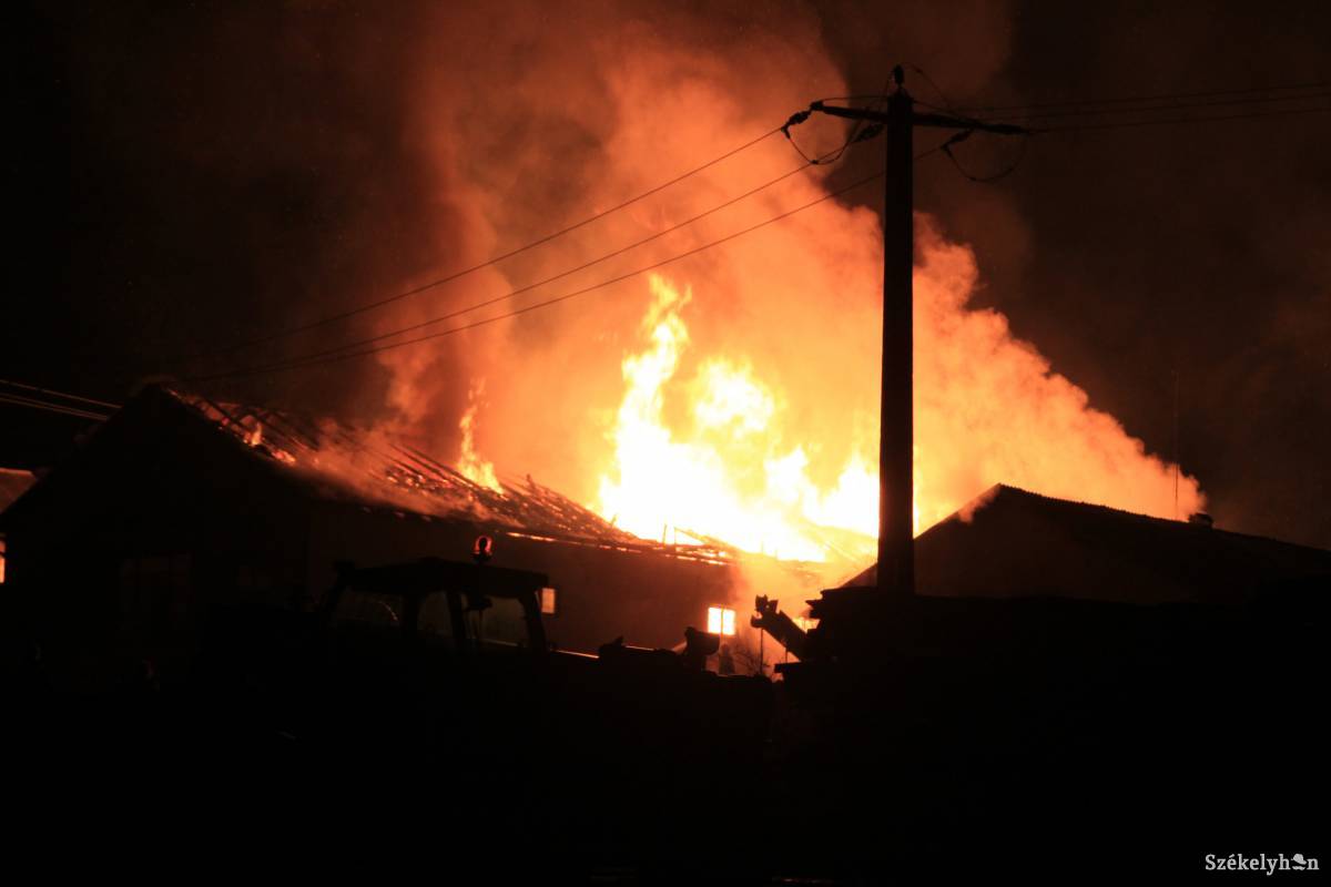 • Fotó: Farkas Antal