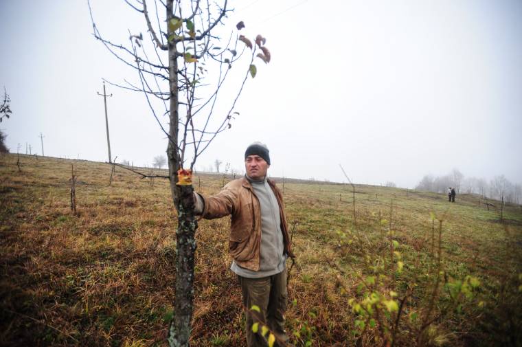 A tündérkert megmentői
