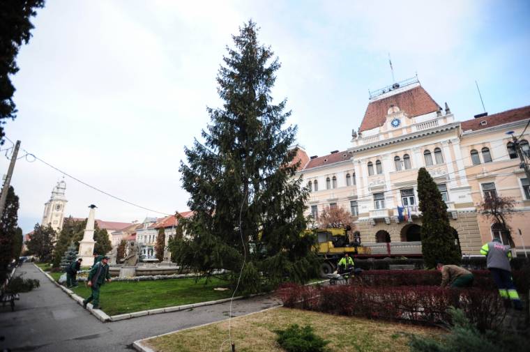 Állnak a fenyők, készül a koszorú