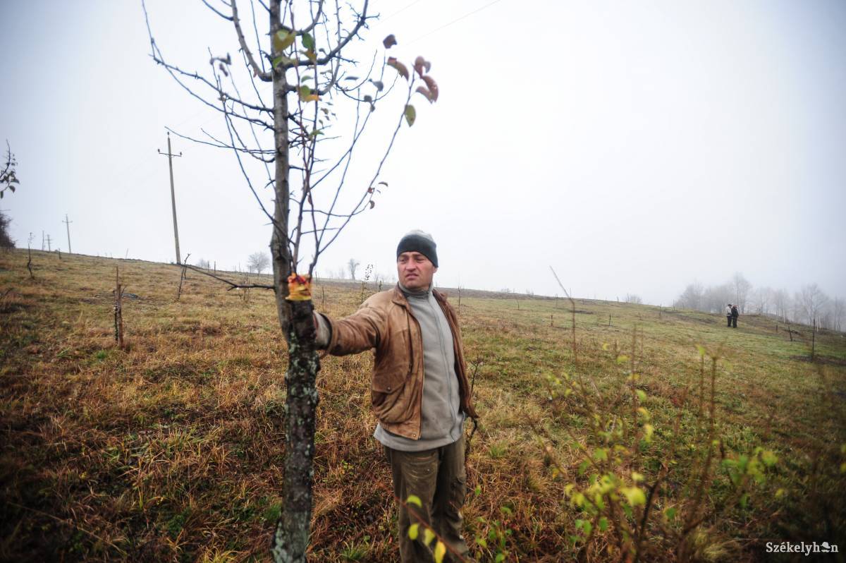 • Fotó: Thomas Campean