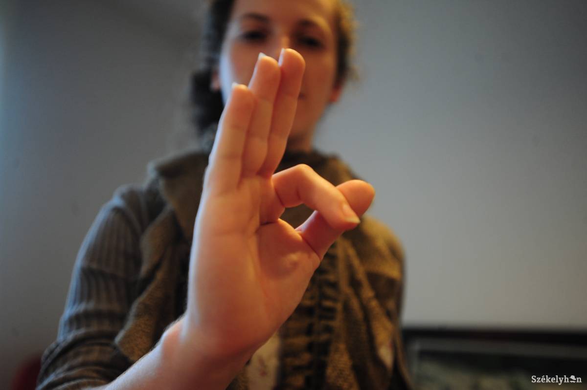 Orvosnál, munkában, hivatalokban a siketeknek szükségük van a jeltolmácsra &bullet;  Fotó: Thomas Campean