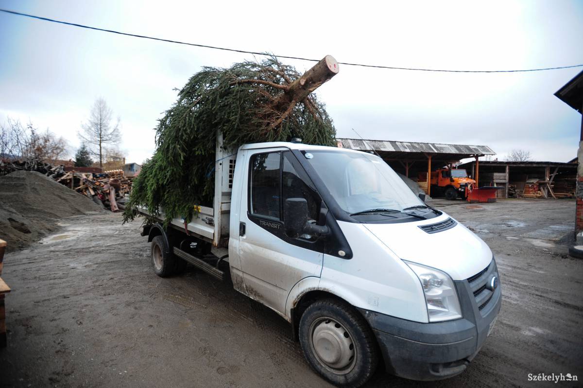 &bullet;  Fotó: Thomas Campean