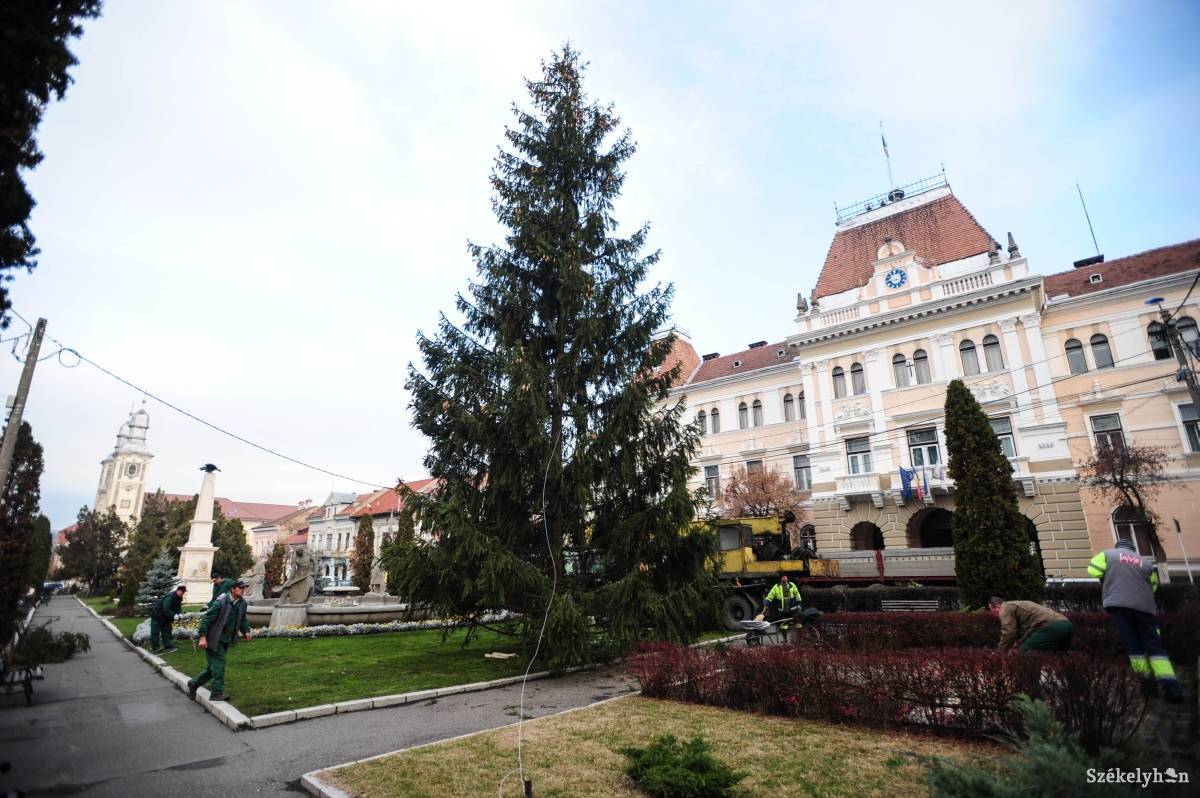 &bullet;  Fotó: Thomas Câmpean