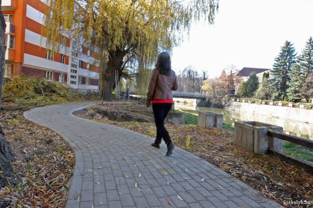 &bullet;  Fotó: Farkas Antal