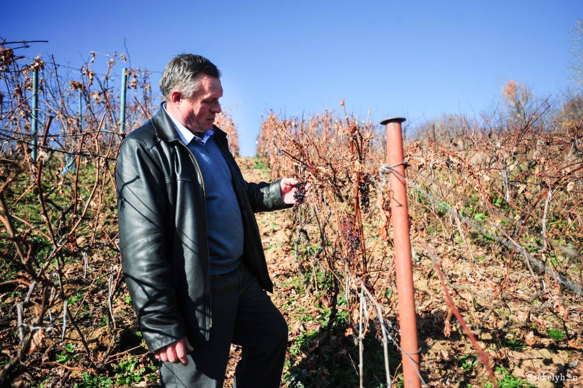 &bullet;  Fotó: Thomas Campean