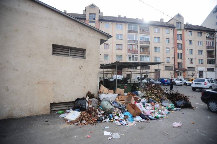 Lombtalanítás helyett néhányan lomtalanítottak is