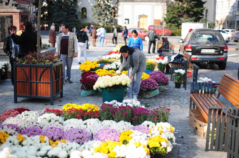 Krizantémmal borított város